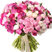 101 colorful peony